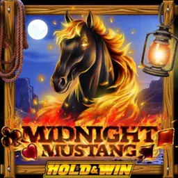 Midnight Mustang